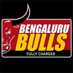 Bengaluru Bulls logo