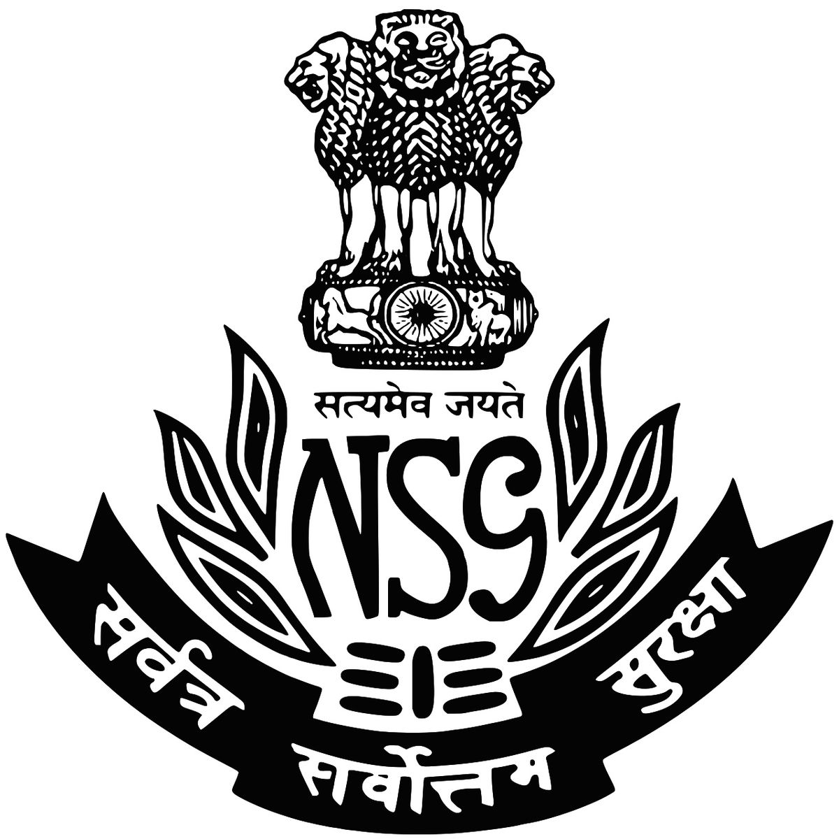 NSG logo