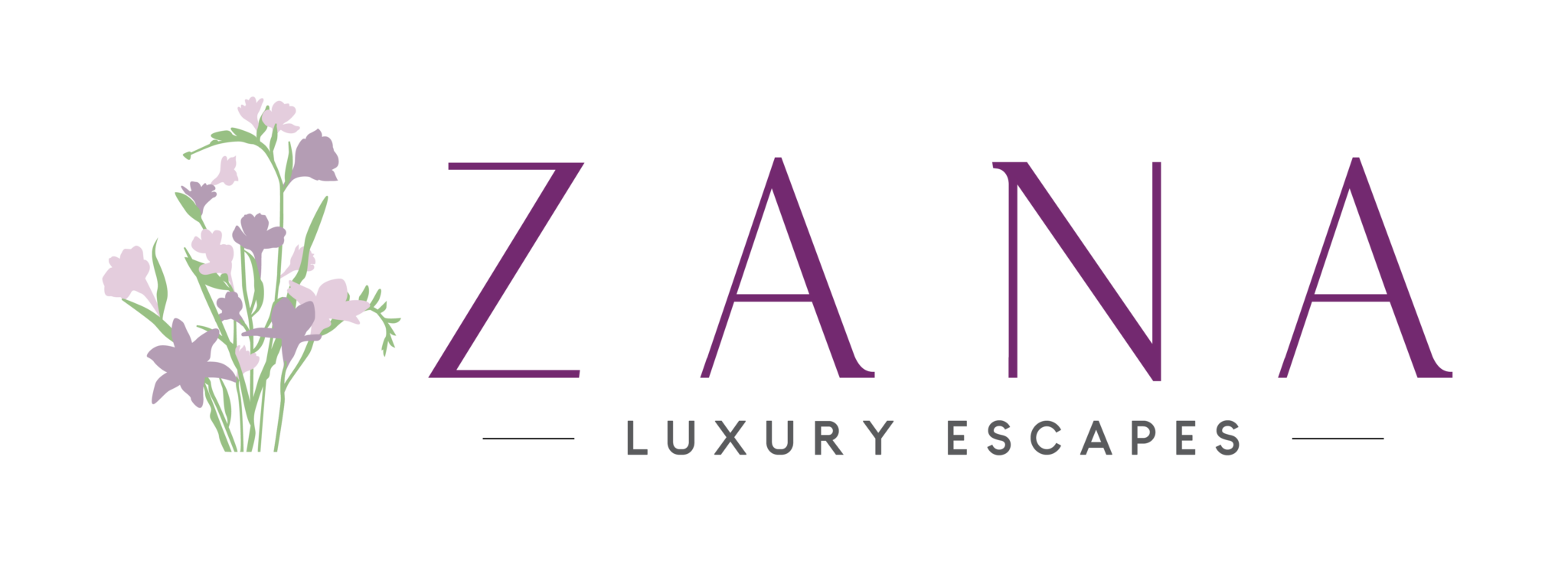 Zana logo